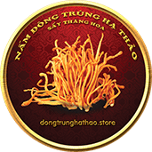 Công ty TNHH Kinh Doanh Dịch Vụ Kim Huy