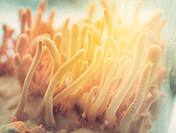 Công ty TNHH Kinh Doanh Dịch Vụ Kim Huy