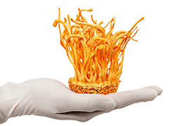 Công ty TNHH Kinh Doanh Dịch Vụ Kim Huy