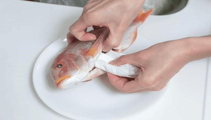  Khăn giấy giúp thấm hút nước trong bụng cá